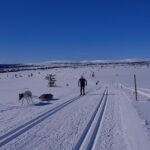 narty biegowe w Norwegii